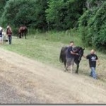 Montar a caballo en Valencia