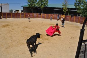 Capeas Granada – Iznalloz